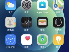 -Apple零售店(成都太古里店)