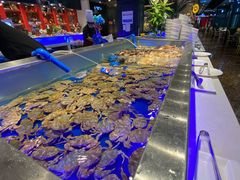 -SEA西雅图海鲜自助餐厅(正义店)