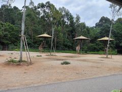 -云南野生动物园