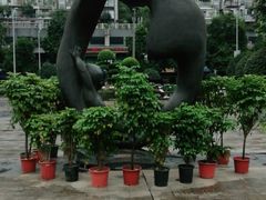 -重庆彩云湖湿地公园