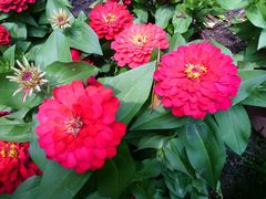 android_upload_pic-祥源·阜阳生态乐园