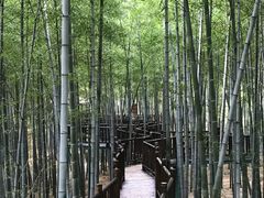 -陶祖圣境风景区