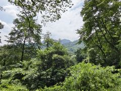 -青城山