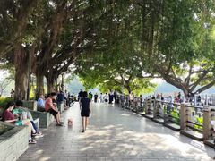 -黄埔古港