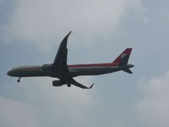 -空港花田景区