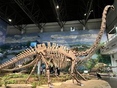 -自贡恐龙博物馆