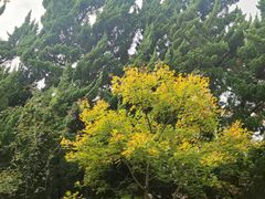 -青岛海滨风景区