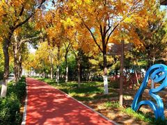 -大兴滨河森林公园