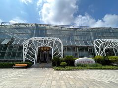 -南宫五洲植物乐园