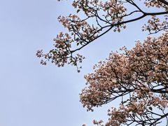 -舒家湾天主教堂