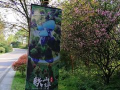 -铁山坪森林公园