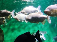 -常州海昌海洋探索馆