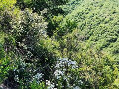 -阳台山自然风景区