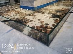 -川骄海鲜自助(河东店)