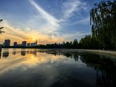 -莲花池公园