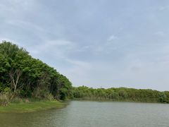 -昆山城市生态森林公园