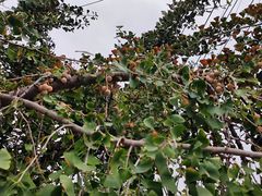 -盂城驿-南门大街