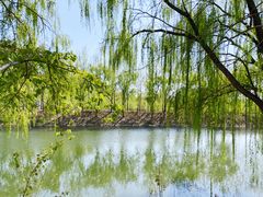 -东郊湿地公园