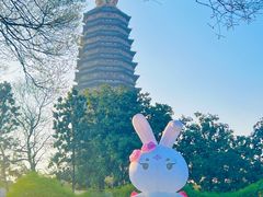-红梅公园
