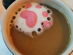 -三花喵·撸猫购宠·宠物生活馆(虹桥南丰城店)