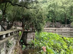 -忠山公园