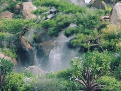 -罗红摄影艺术馆