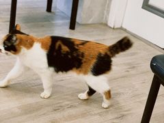 -吉友粥底火锅(方斜路店)