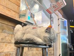 -兄弟鸡排.芋泥香酥鸭(淮海街店)