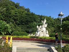 -金鸡山公园