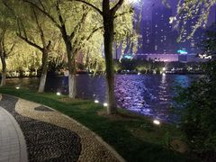 -天鹅湖体育公园