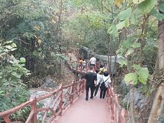 -千岛湖石林