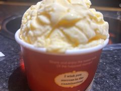 -蓉城老院十一年川味老火锅(中南店)