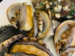 -渔公码头·九龙湾国际饭店