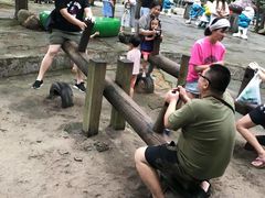 -保利石象湖景区