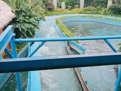 景点-七彩云南欢乐世界