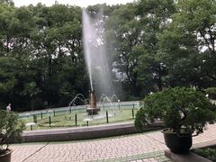 -上海交通大学医学院附属瑞金医院(总院)