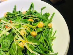 清炒南瓜尖儿-巴依老爷新疆美食(远洋未来汇购物中心店)