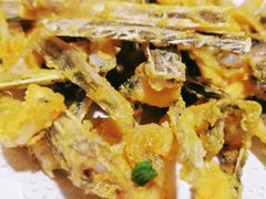 煎鸭嘴鱼骨-鲤鱼塘农家山庄