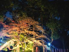 -醍醐寺