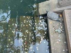 -西园戒幢律寺