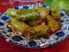 阳朔特色酿-辣椒酿-生态苑农庄(十里画廊遇龙河店)