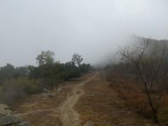 -北京鹫峰国家森林公园