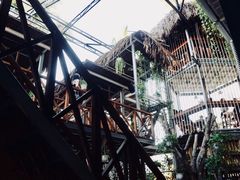 大堂-Rainforest