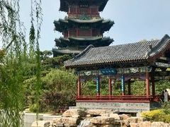 -迎泽公园