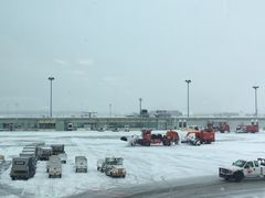 -蒙特利尔皮埃尔·埃利奥特·特鲁多国际机场