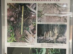 -天燕原始生态旅游区-天门垭景区