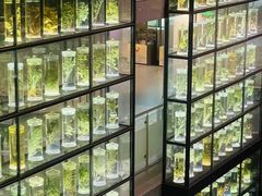 -广东中医药博物馆