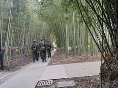 -上海市龙华烈士陵园