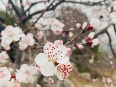 -白水寺森林公园