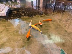-白天鹅宾馆·流浮阁咖啡厅